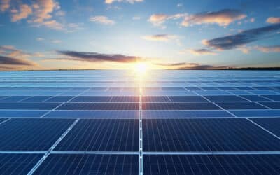 Rôle d’un Panneau Solaire : Découvrez son Importance dans la Production d’Énergie !